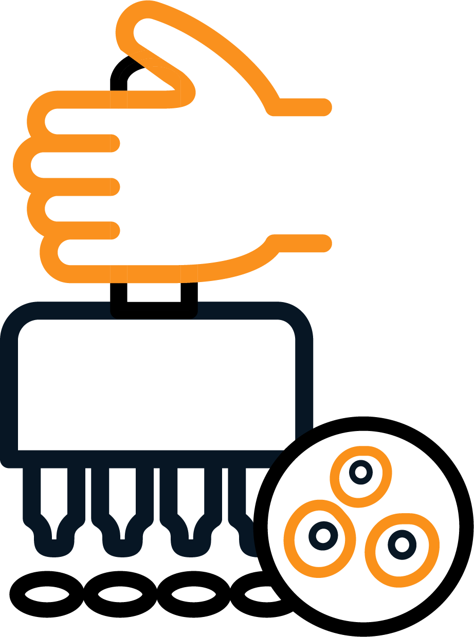 Cell Seeding and Plate Preparation