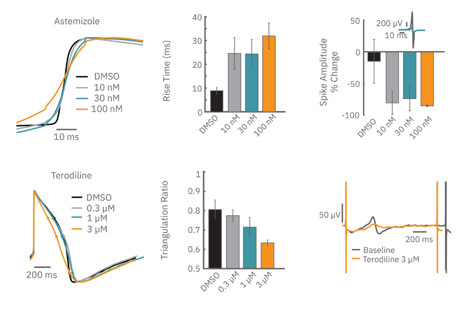 Interpreting LEAP data