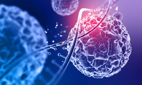 Transfection and Transduction Live-Cell Imaging Application