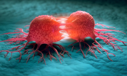 Clonogenic Assay Live-Cell Imaging Application