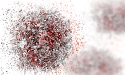 Cytotoxicity and Cell Viability Live-Cell Imaging Application