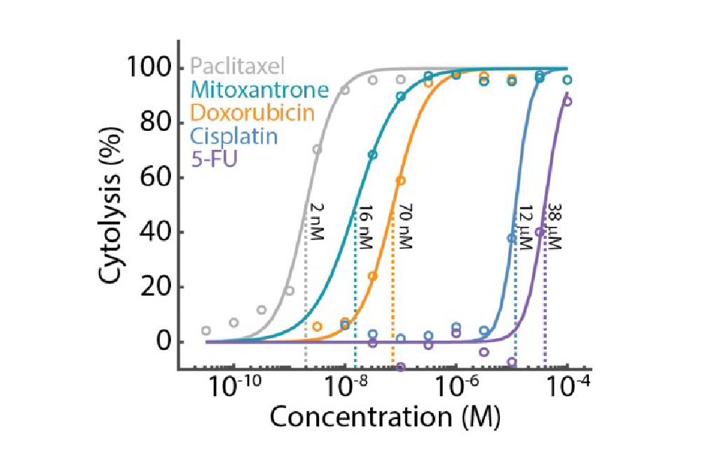 Dose response with Maestro Z