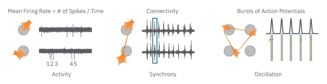 Neural Network detected on the Maestro Pro