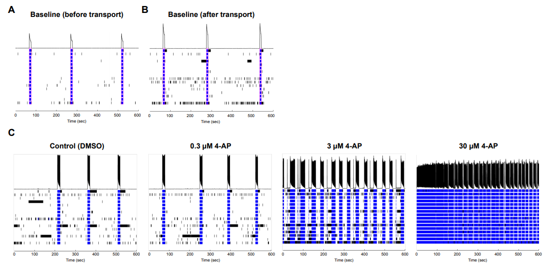 MEA data with excitatory neurons