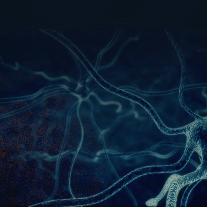 The MEA platform built for organoids