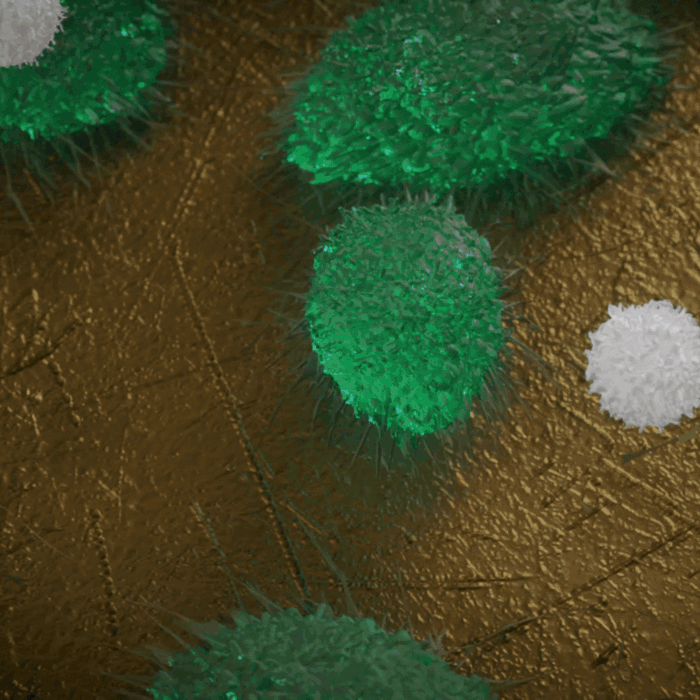 Maestro Z label-free real-time analysis of cells on impedance plate