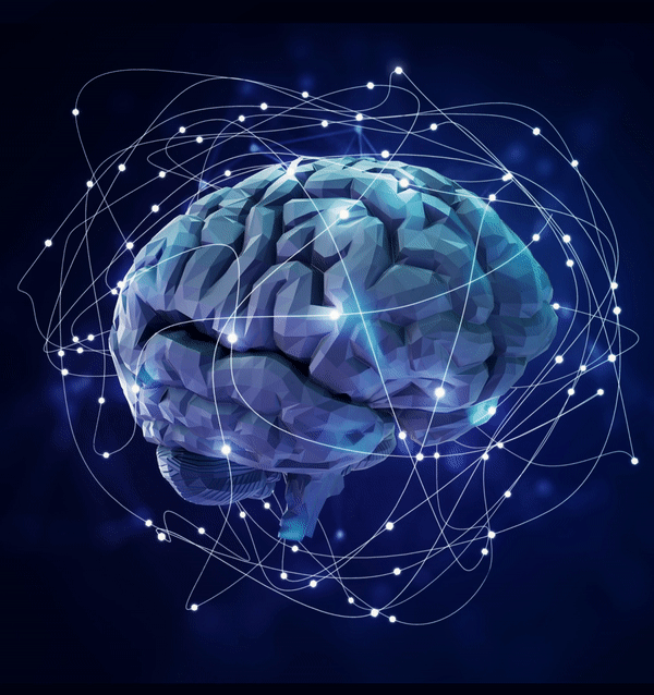 Neural Organoid Insights