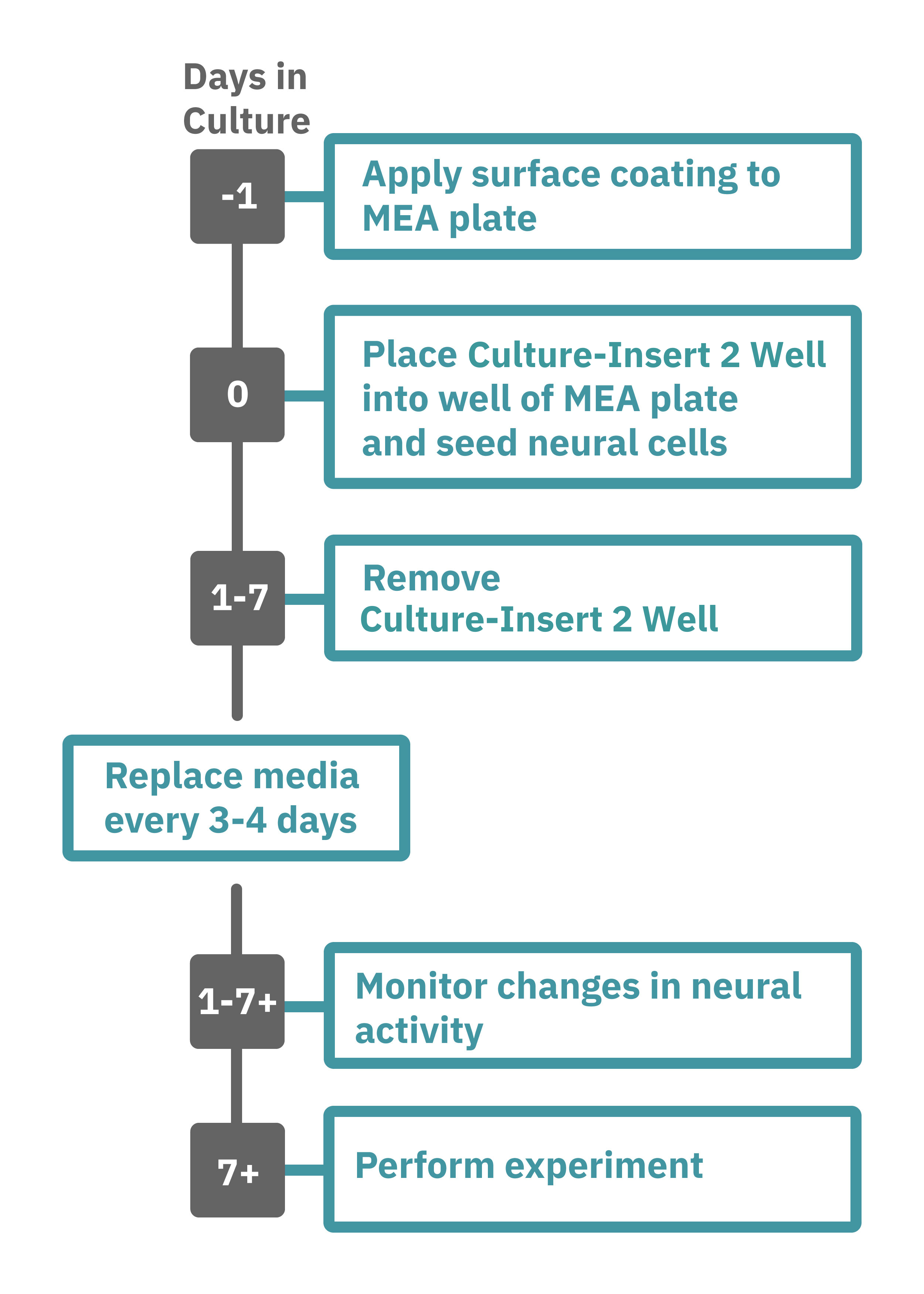 Neural-co-culture-protocol-v3