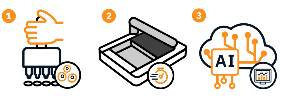 Omni whole-well detection workflow