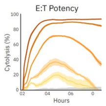 Oncology Application Data