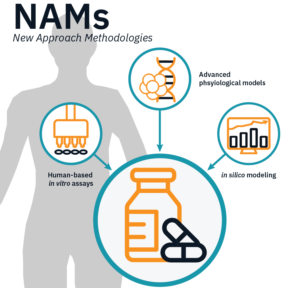 What are New Approach Methodologies (NAMs)?