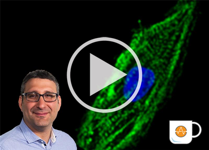 Recreating irregular heart beats with patient cells and gene editing Coffee Break Webinar