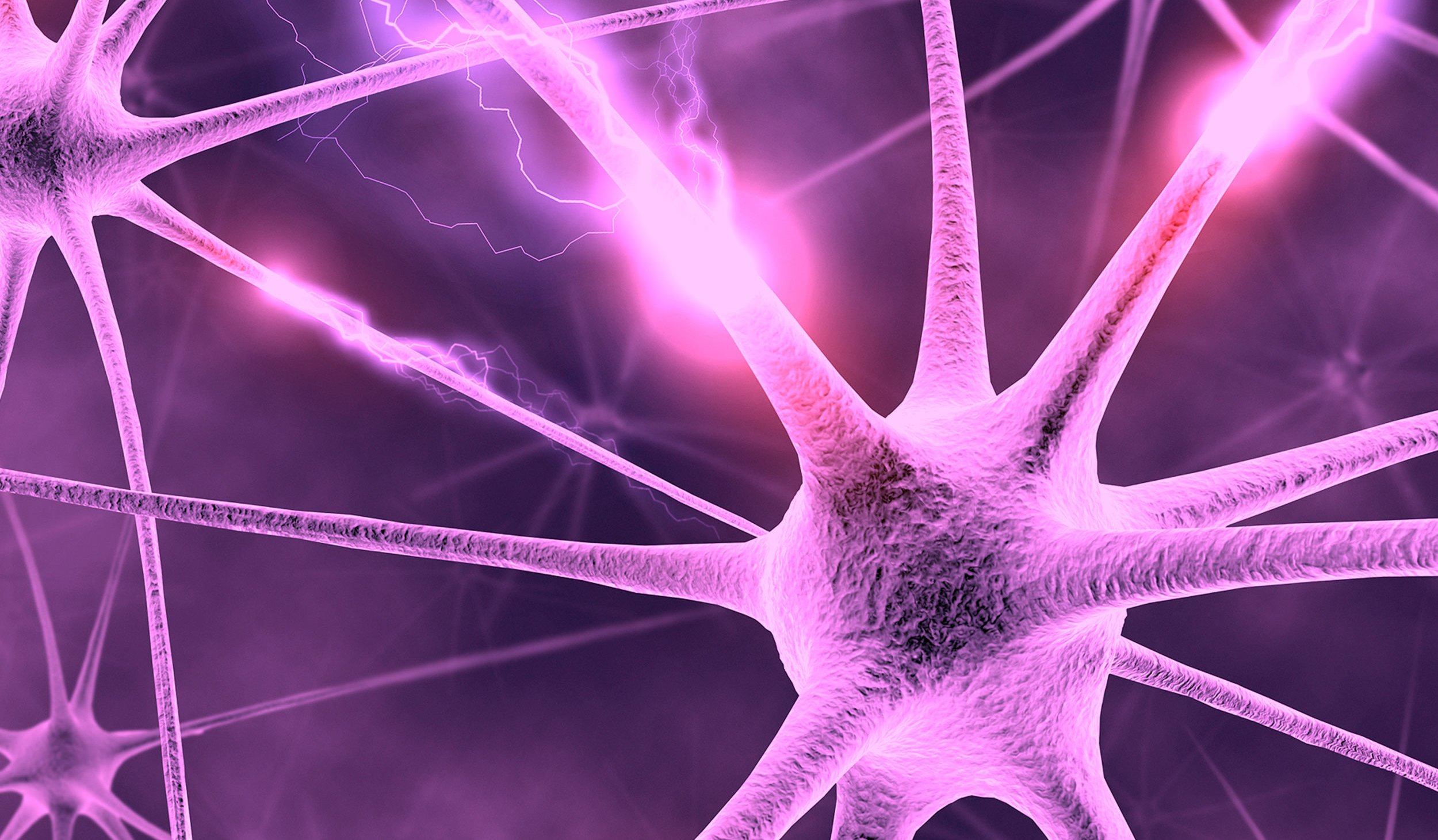 Neural Optical and Electrical Stimulation Application