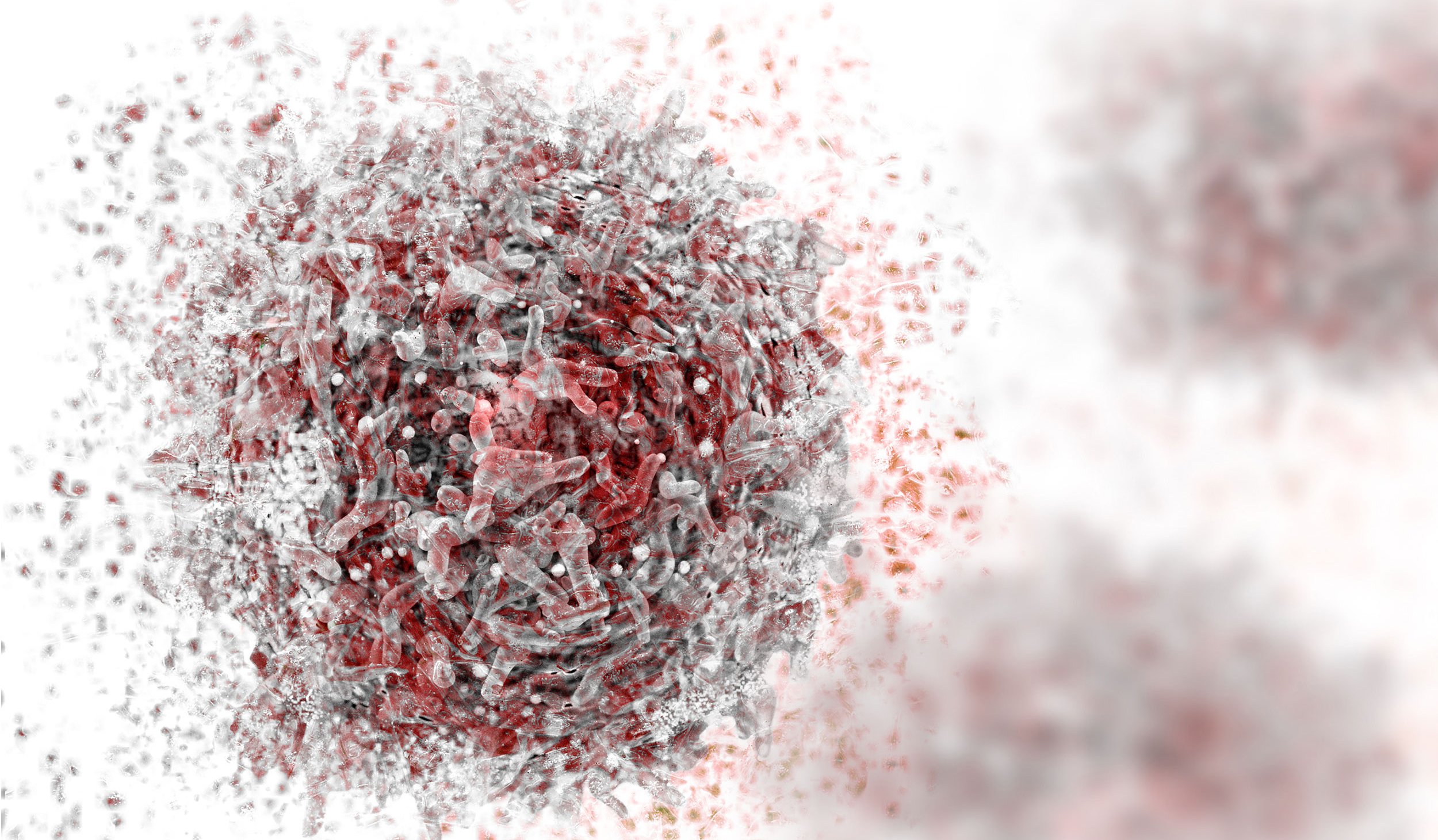 Cytotoxicity and Cell Viability Assays