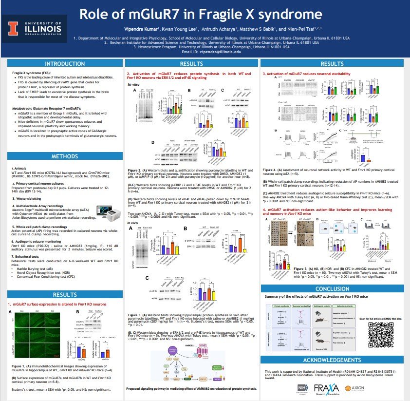 Role of mGluR7 in Fragile X syndrome_V. Kumar