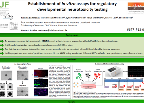 Psoter 2019 establishment of in vitro for neurotoxicology assessment