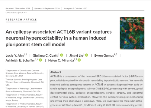 2020 publication on epilepsy and multielectrode array system