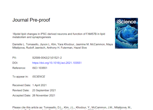 thumbnail of publication