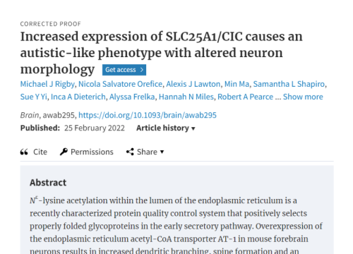 thumbnail of publication