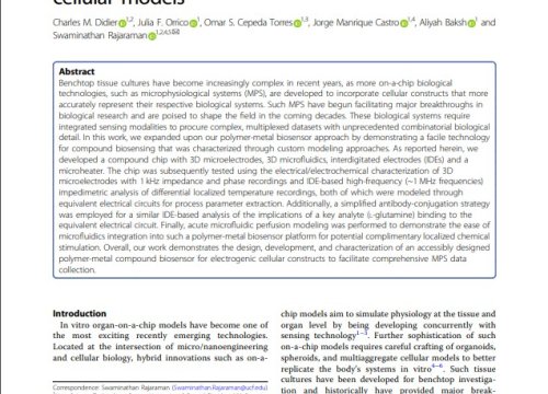 Microfabricated polymer-metal biosensors