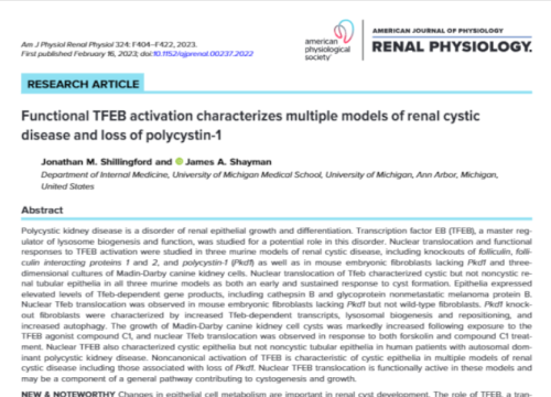 2023 Renal Physiology Functional TFEB activation characterizes multiple models of renal cystic disease