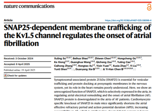 Nature Communications, 19 April 2025