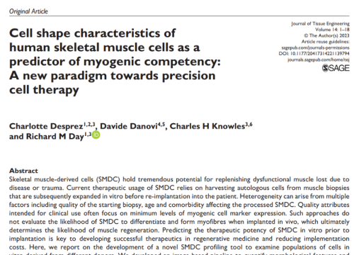 Journal of Tissue Engineering, 16 March 2023