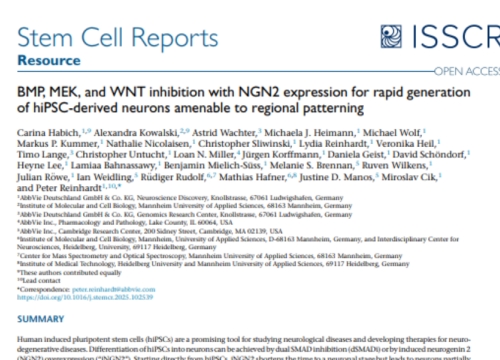 Stem Cell Reports, 08 July 2025