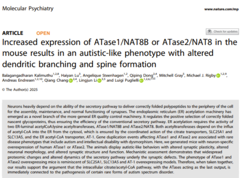 Molecular Psychiatry, 24 September 2025