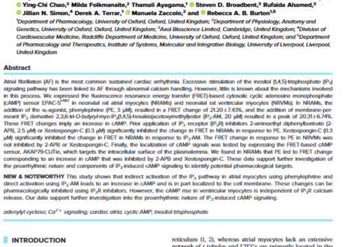 American Journal of Physiology-Heart and Circulatory Physiology, 2 August 2024