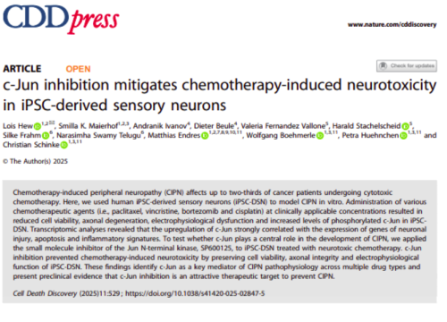 Cell Death Discovery, 13 November 2025
