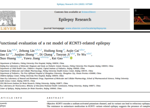 Epilepsy Research, 17 May 2025