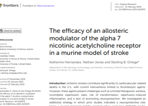 Frontiers in Neuroscience, 11 February 2025