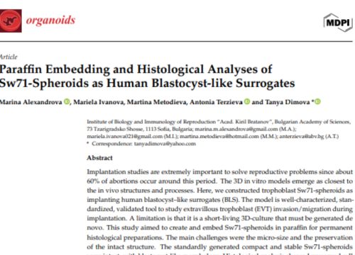 Organoids, 10 August 2025