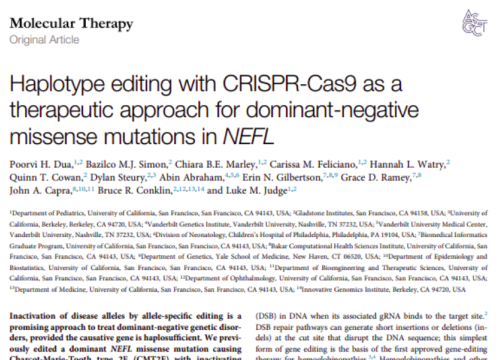 Molecular Therapy, 19 November 2025