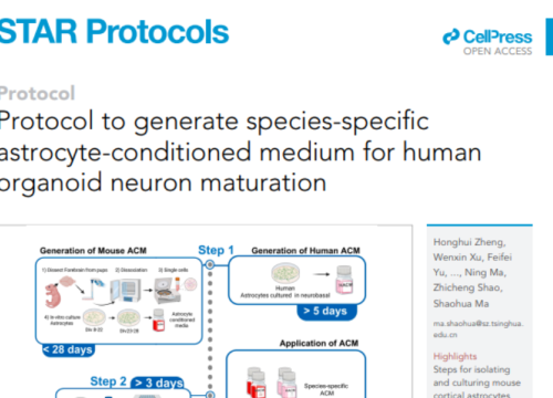 STAR Protocols, 19 September 2025