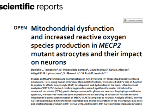 Scientific Reports, 04 September 2024