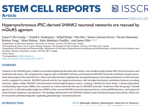 Stem Cell Reports, 20 November 2025