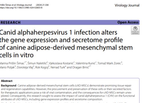 Virology Journal, 27 December 2024