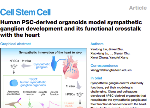 Cell Stem Cell, 08 January 2026