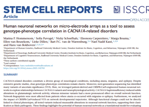 Stem Cell Reports, 10 February 2026