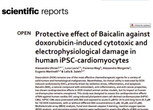 Scientific Reports, 10 February 2026
